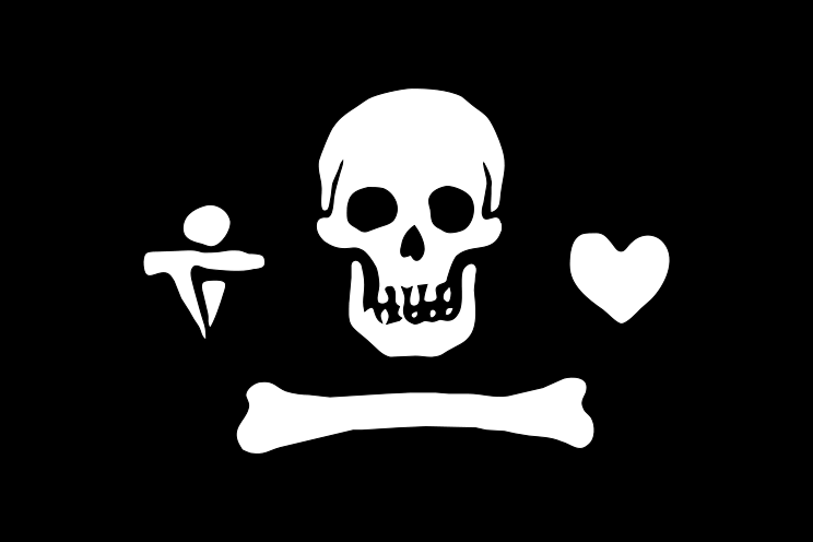 pirate-flag-bonnet